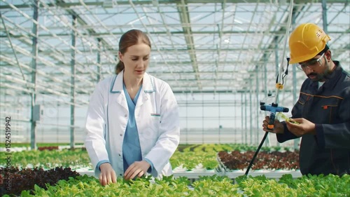 A Caucasian female scientist and an Asian male worker monitor healthy lettuce growth in a greenhouse setting.