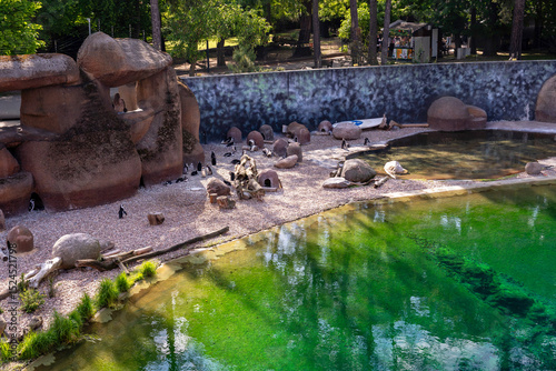 Wrocław Zoo, Afrykarium penguin enclosure, Poland.
