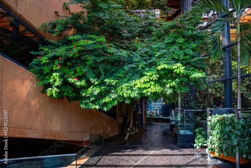 Wroclaw Zoo, the lush greenery of the Africarium pavilion.