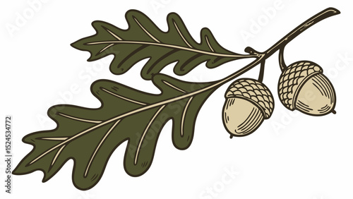 Stylized Oak Branch with Green Leaves and Two Acorns