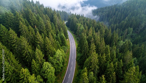 Aerial View of Winding Road Through Lush Evergreen Forest