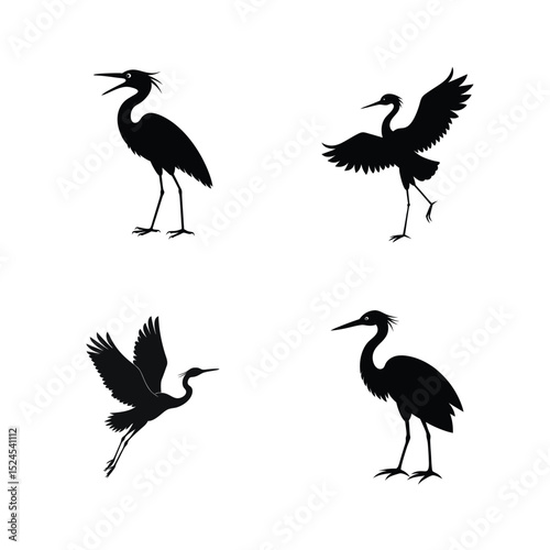 Egret bird silhouette set with graceful wading bird figures in motion vector illustration.
