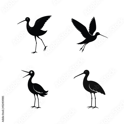 Godwit bird silhouette set showing wading bird shapes with long beaks and wings vector illustration.