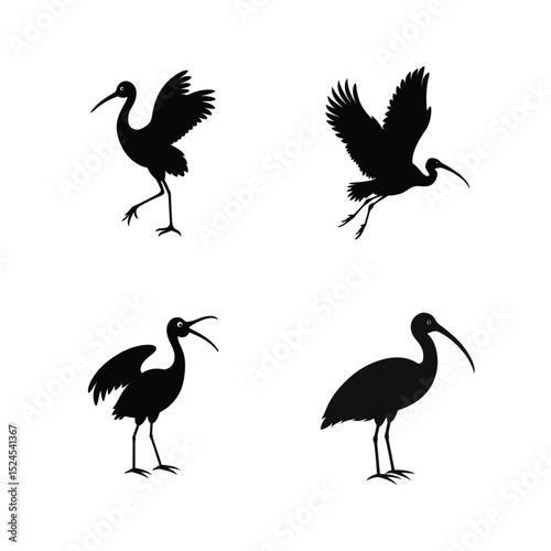 Ibis bird silhouette set showing wading birds with down curved beaks in motion vector illustration.