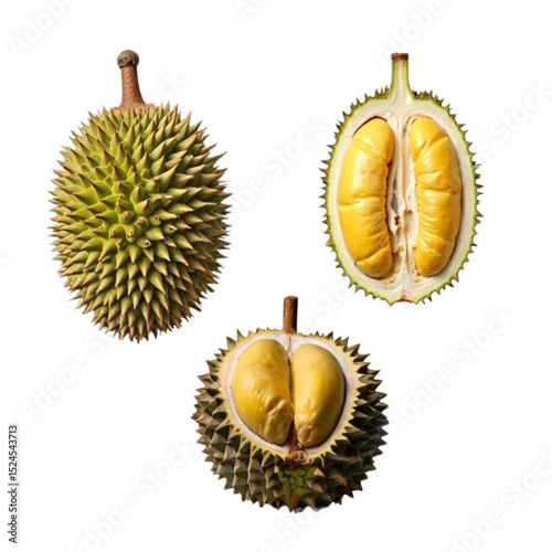 Durian isolated icon with no background design element