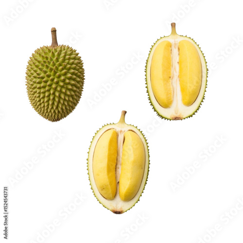 Durian isolated icon with no background design element