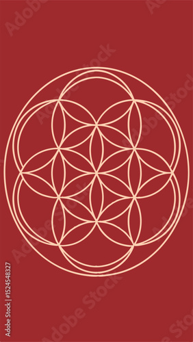 Sacred geometry illustration of the flower of life in a minimalist and modern design