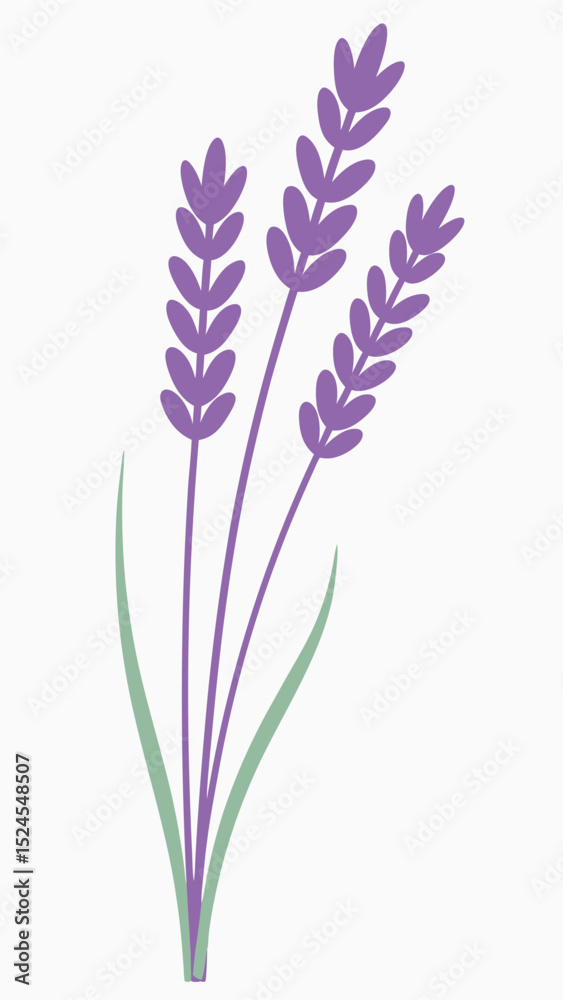 Naklejka premium Simple illustration of purple lavender flowers with green leaves suitable for design