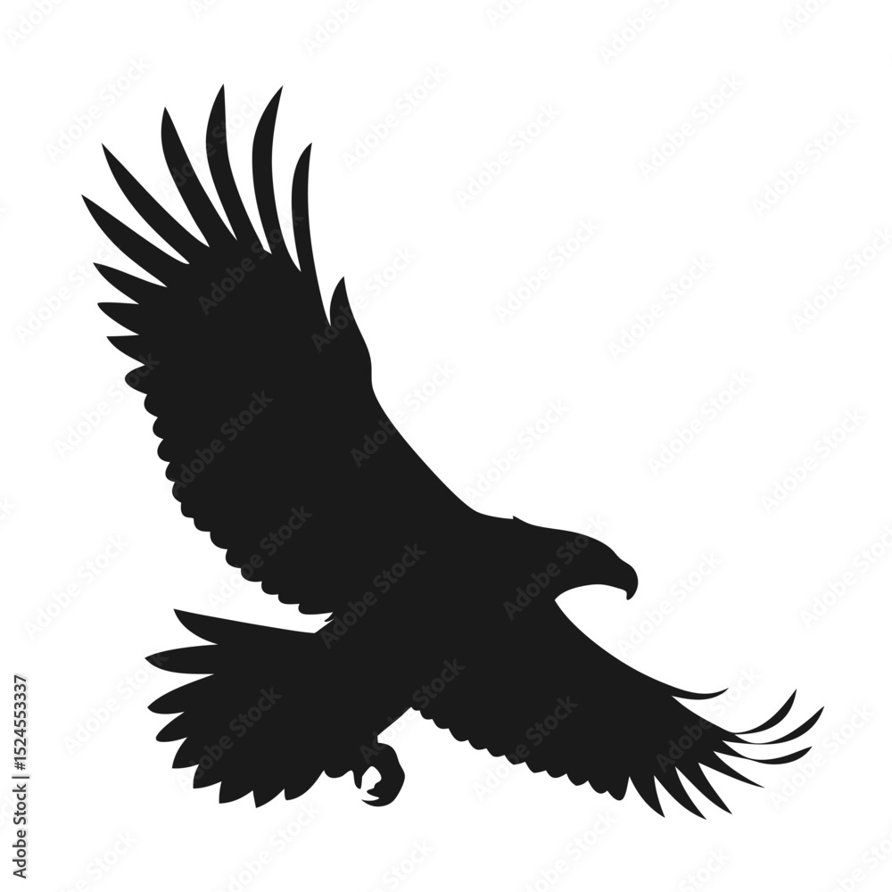 Obraz premium Silhouette of an Eagle in Flight