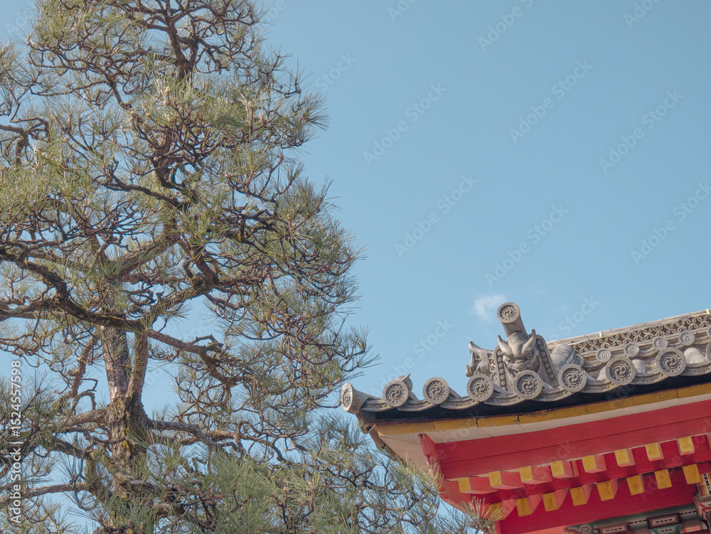 Fototapeta premium Fushimi Inari Kyoto Japan