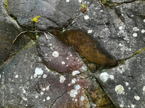 Close-up of a natural rock surface with a rough, uneven texture, visible cracks, and earthy tones, showing signs of weathering and mineral deposits.


