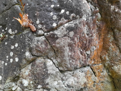 Close-up of a natural rock surface with a rough, uneven texture, visible cracks, and earthy tones, showing signs of weathering and mineral deposits.

