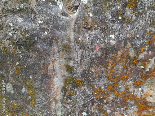 Close-up of a natural rock surface with a rough, uneven texture, visible cracks, and earthy tones, showing signs of weathering and mineral deposits.

