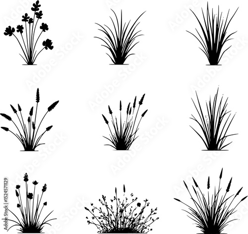 set of bush grass shrub herb silhouettes  vector