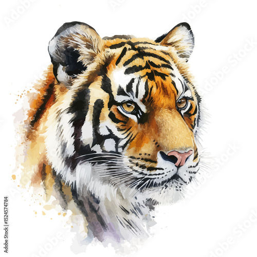 Bengal Tiger, watercolor illustration vector, high quality, isolated on a white background.