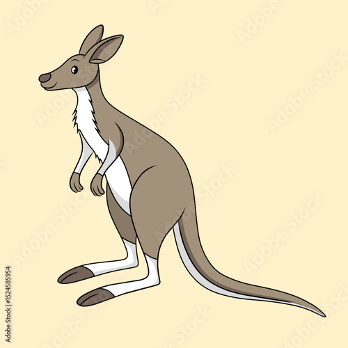 Kangaroo vector illustration, cartoon clipart character, animal in flat style. Wild animals, wild creatures, wildlife concept.