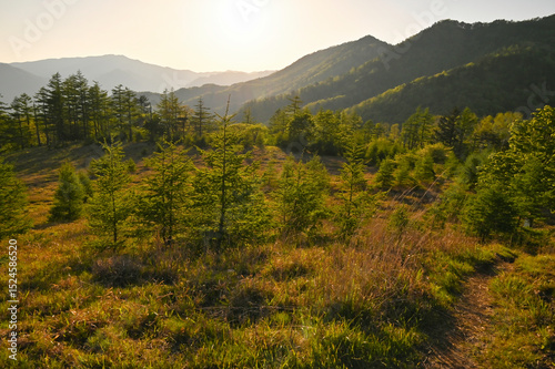 夕焼けの登山道