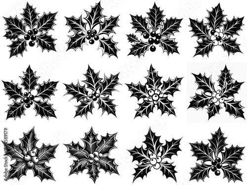 Holly and berries silhouette vector illustration isolated on white background.