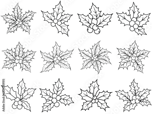 Holly and berries outline vector illustration isolated on white background.