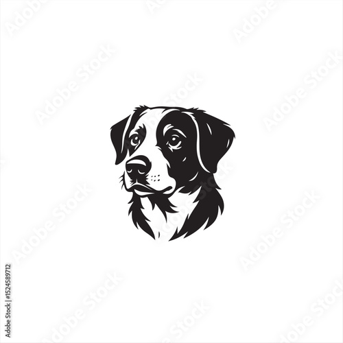 black labrador retriever
