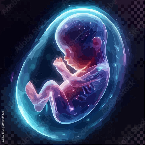 
digital art showing a fetus in the womb 70