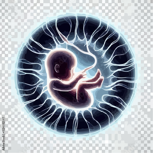 
digital art showing a fetus in the womb 59