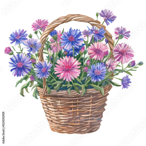 watercolor vector of A Stokesia Flower Basket, high quality, isolated on a white background.