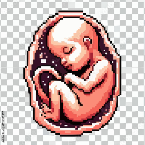 digital art of a fetus in the mother's womb 77