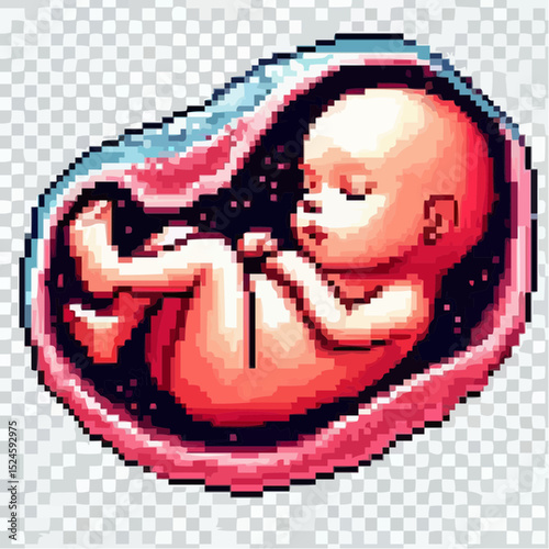 digital art of a fetus in the mother's womb 72