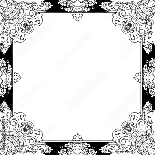 frame with floral ornament