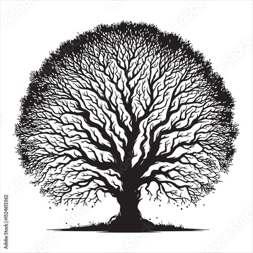 Majestic Bare Tree Illustration Black and White Nature Art