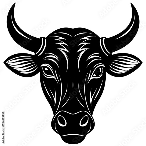 black and white bull