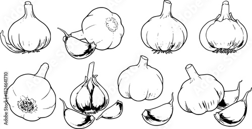 Stylized illustrations of various garlic cloves and bulbs arranged in a creative pattern

