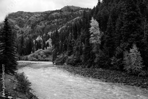 Animas River in Black and White