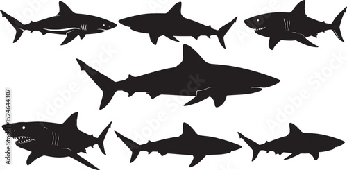 Shark swimming silhouette vector illustration