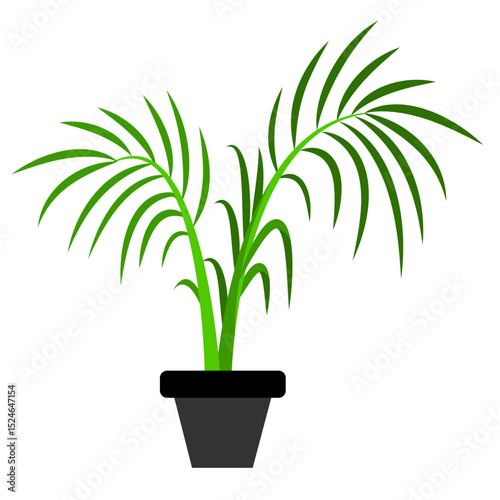 Plant art design illustration & vector