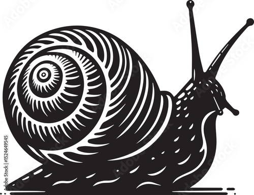 snail on the road, snail vector illustration, snail vector illustration icon