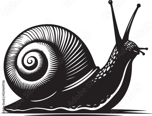 snail on the road, snail vector illustration, snail vector illustration icon