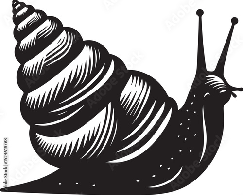 snail on the road, snail vector illustration, snail vector illustration icon