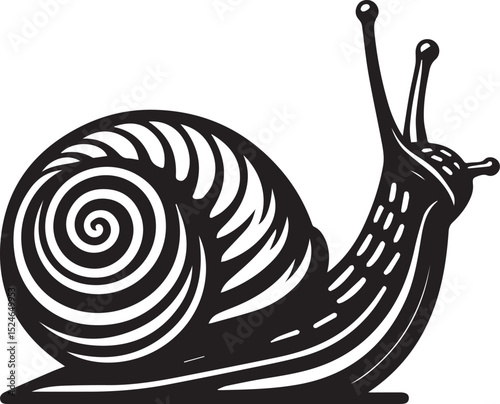 snail on the road, snail vector illustration, snail vector illustration icon