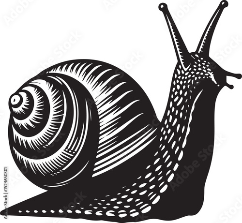 snail on the road, snail vector illustration, snail vector illustration icon