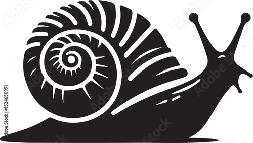 snail on the road, snail vector illustration, snail vector illustration icon