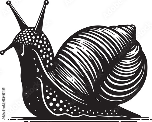 snail on the road, snail vector illustration, snail vector illustration icon