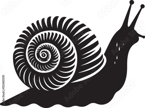 snail on the road, snail vector illustration, snail vector illustration icon