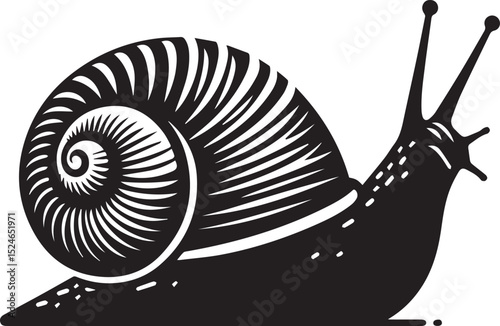 snail on the road, snail vector illustration, snail vector illustration icon