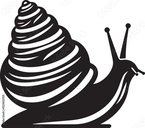 snail on the road, snail vector illustration, snail vector illustration icon