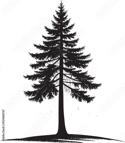 Isolated vector illustration of a green fir or pine Christmas tree with snow, perfect for winter holiday celebrations