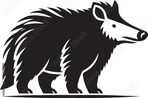 Aardvark vector illustration, aardvark vector illustration icon full body