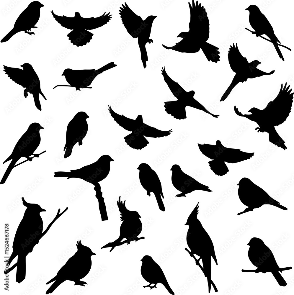 Obraz premium birds shilloitee vector set