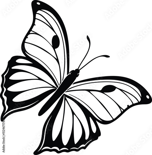 Flying butterfly silhouette with open wings in clean symmetrical style, bold black shape, no background, traceable and stock friendly